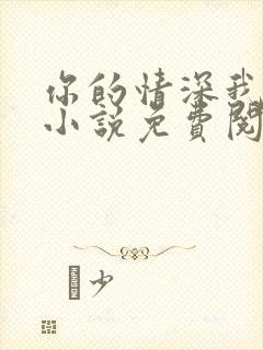 你的情深我不配小说免费阅读无弹窗