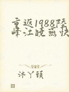 重返1988陆峰江晓燕快眼