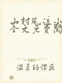山村风流小巫医全文免费阅读