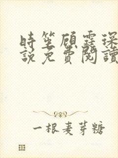 时笙顾霆琛的小说免费阅读