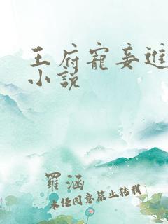 王府宠妾进阶录小说