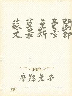 苏莫免费阅读全文最新章节