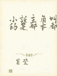 小说主角叫苏叶的是哪本都市小说