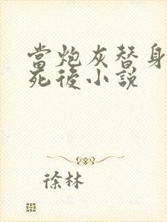 当炮灰替身的我死后小说