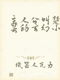 主人公叫楚风楚芸的玄幻小说