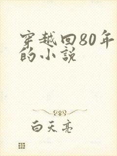 穿越回80年代的小说