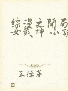 综漫之开局变身女武神 小说