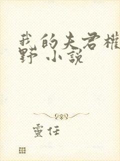 我的夫君权倾朝野 小说