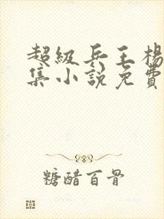 超级兵王杨洛全集小说免费阅读