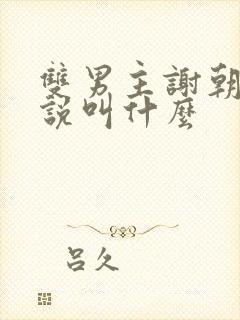 双男主谢朝的小说叫什么