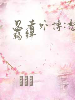 忍者外传:怒之羁绊