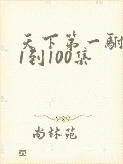 天下第一驸马爷1到100集