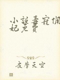 小说毒宠佣兵王妃免费