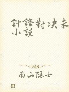 针锋对决未删减小说