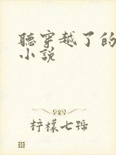 听穿越了的学霸小说