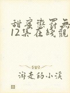 甜蜜惩罚无删减12集在线观看