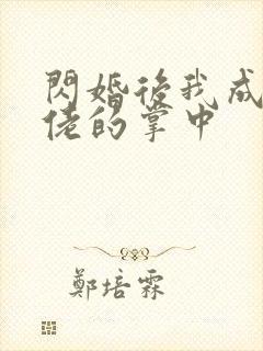 闪婚后我成了大佬的掌中