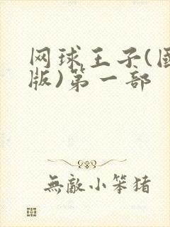 网球王子(国语版)第一部