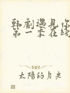 韩剧遇见你之后第一季在线观看