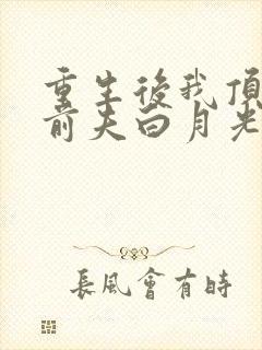 重生后我顶替了前夫白月光完本