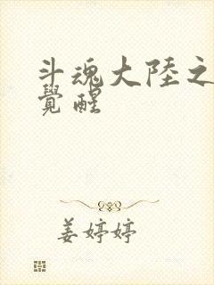 斗魂大陆之武魂觉醒