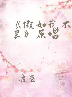 《假如我不再善良》原唱