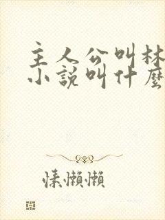 主人公叫林尘的小说叫什么名字