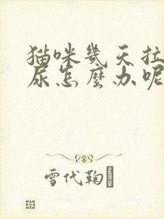 猫咪几天拉不出尿怎么办呢