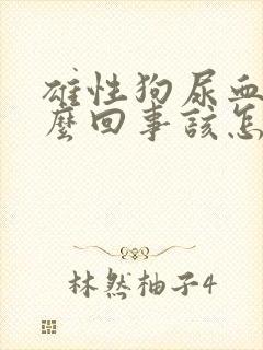 雄性狗尿血是怎么回事该怎么治疗