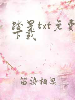 踏星txt免费下载