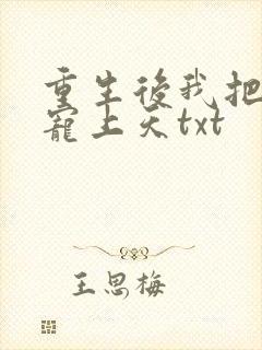 重生后我把丈夫宠上天txt