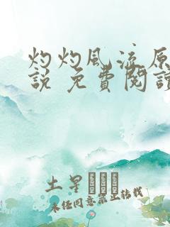 灼灼风流原著小说 免费阅读