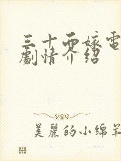 三十而嫁电视剧剧情介绍