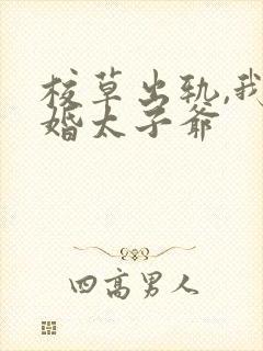 校草出轨,我闪婚太子爷