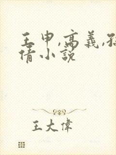 王申,高义,孙倩小说