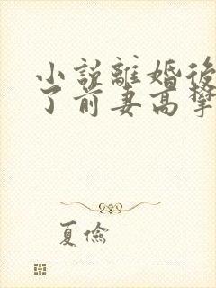 小说离婚后我成了前妻高攀不起的神