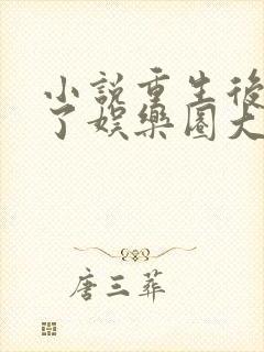 小说重生后我成了娱乐圈大佬