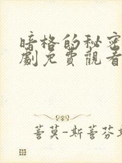 暗格的秘密电视剧免费观看全集完整版