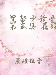 黑帮少爷爱上我第五集 在线观看