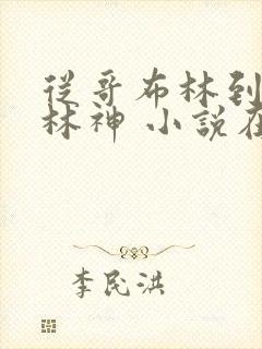 从哥布林到哥布林神 小说在线阅读