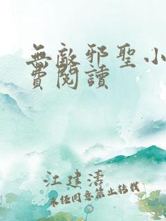 无敌邪圣小说免费阅读