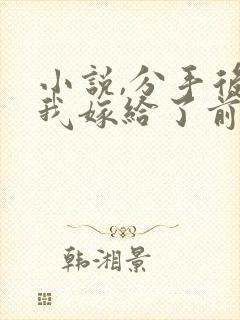 小说,分手后,我嫁给了前男友的小叔