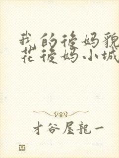 我的后妈貌美如花后妈小城何生李健小说