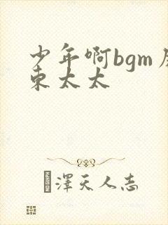 少年啊bgm房东太太