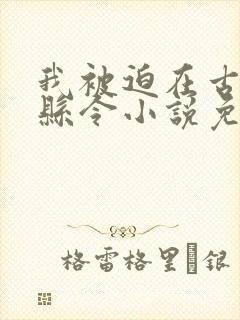 我被迫在古代做县令小说免费阅读