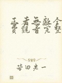 正者无敌全集免费观看完整版高清