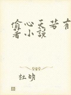 偷心天若有情原著小说