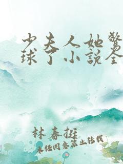 少夫人她惊艳全球了小说全文