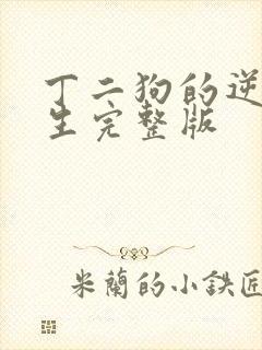 丁二狗的逆袭人生完整版