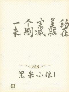 一个完美的结局未删减版在线观看